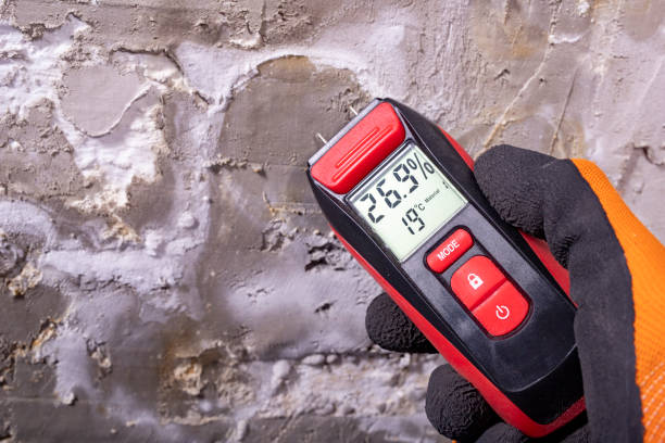 Best Attic Mold Removal  in Carbon Hill, AL