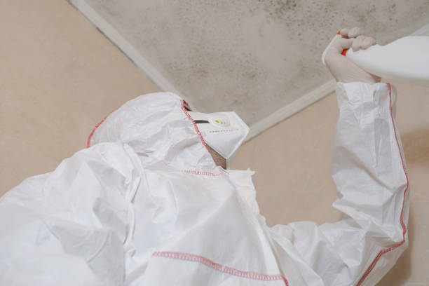 Best Mold Cleaning Services  in Carbon Hill, AL