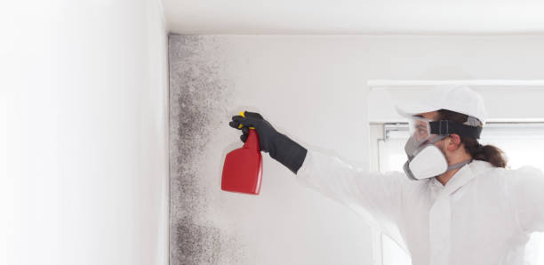 Best Professional Mold Removal  in Carbon Hill, AL